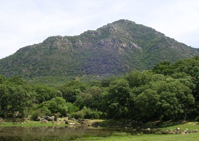 Pese a la sequía y el cambio climático, Andalucía es hoy más verde que en los 90. No es tan positivo como parece